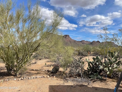 7305 N van Ark Rd unit 1, Tucson, AZ 85743 - photo 3