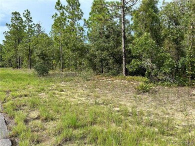 9882 N Sistine Terrace, Citrus Springs, FL 34433 - photo 2