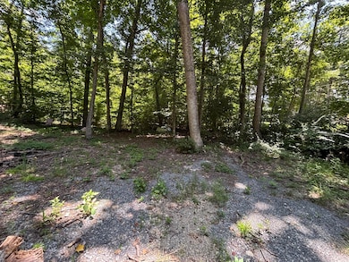 Photo Jul 18 2025, 1 04 21 PM