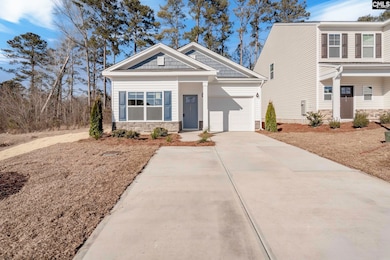 258 Brando Way, Columbia, SC 29223 - photo 2