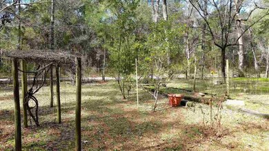 20 Atkinson Rd, Crawfordville, FL 32327 - photo 4