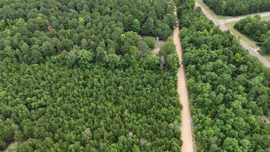 DJI_20240603095936_0048_D