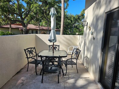 3426 Wood Owl Cir, Bradenton, FL 34210 - photo 4