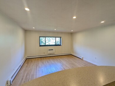 15 Walbridge St unit 31, Allston, MA 02134 - photo 3