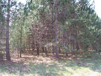 Red pines