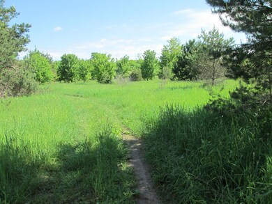 Meadow Area