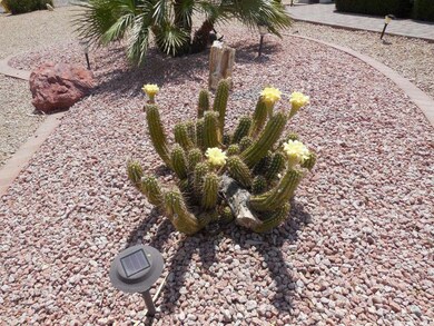 Whitewood_Howards 003