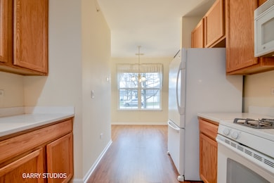 13259 Cedar Crest Ln, Huntley, IL 60142 - photo 5