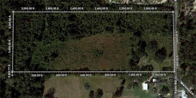 Estimated Google View