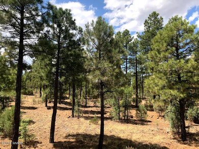 1 Woolford Rd, Show Low, AZ 85901 - photo 7