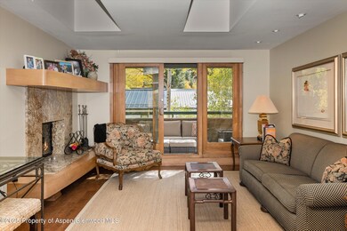 1020 E Hopkins Ave unit 9, Aspen, CO 81611 - photo 4