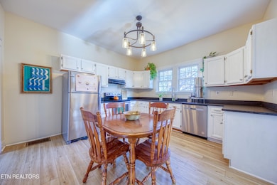 225 Cedar Ave, Knoxville, TN 37917 - photo 7