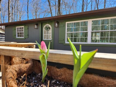 229 Pontiac Path, Pocono Lake, PA 18347 - photo 5