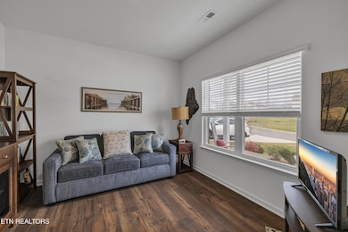 6365 Night Time Dr, Knoxville, TN 37931 - photo 4