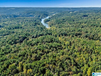 00 County Highway 27 unit 6, Oneonta, AL 35121 - photo 7