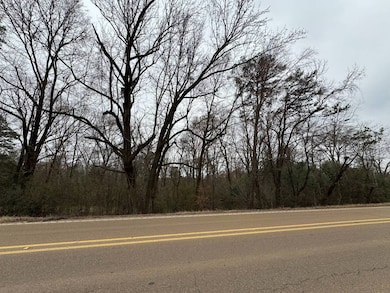 731 Middleton Rd, Winona, MS 38967 - photo 2