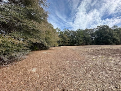 5895 Pineforest Dr, Crestview, FL 32539 - photo 5