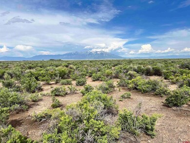 2477 County Road 111 S, Alamosa, CO 81101 - photo 2