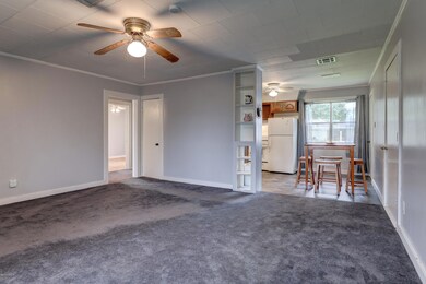 116 Camellia-6
