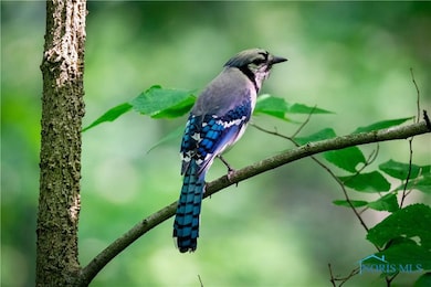 12078 Eagleville Rd, North Baltimore, OH 45872 - photo 6