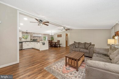 120 Hurley Ln, Berkeley Springs, WV 25411 - photo 4