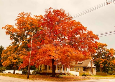 822 5th St, Lacon, IL 61540 - photo 2