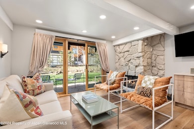 131 E Durant Ave unit 208, Aspen, CO 81611 - photo 2