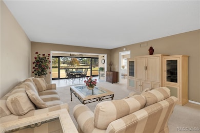 3 Cypress Run unit 36B, Homosassa, FL 34446 - photo 7