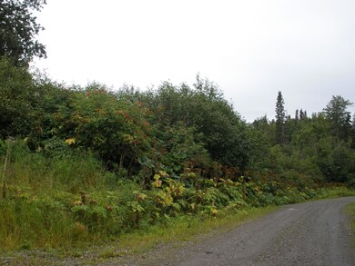 Looking down Scenic View Loop