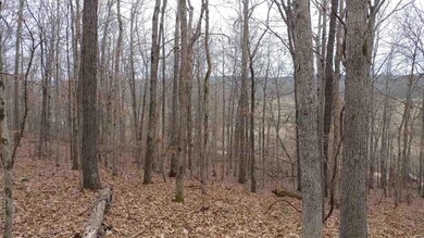 0 County Road 423, Epps Township, MO 63901 - photo 6