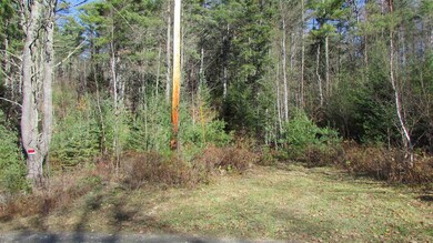 57-3 Jesse Ln, Littleton, NH 03561 - photo 4