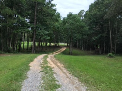 2710 U S 49, Collins, MS 39428 - photo 3