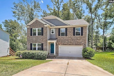 306 Dolly Horn Ln, Chapin, SC 29036 - photo 3