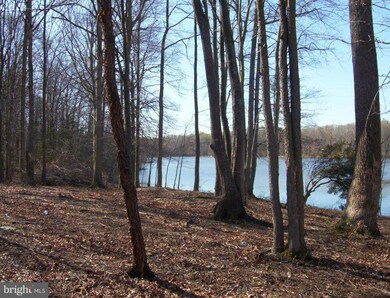 10602 King Eider Ct, Spotsylvania, VA 22553 - photo 4