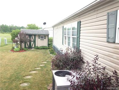 Yard.