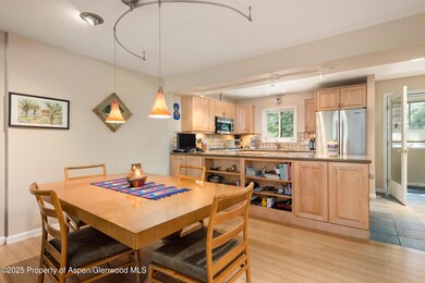 100 N 8th St unit 26, Aspen, CO 81611 - photo 3