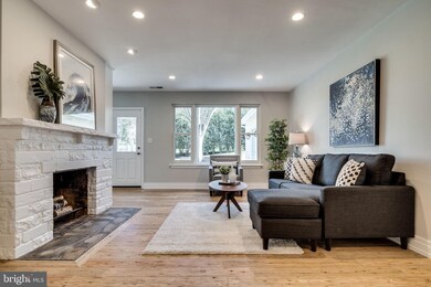 309 Yale Dr, Alexandria, VA 22314 - photo 5