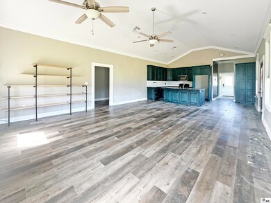 715 New Mineral Springs Rd, Calhoun, LA 71225 - photo 5