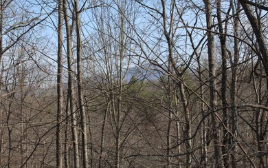 Additional View
