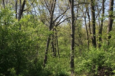 5.5 AC Alpine Rd, Brooklyn, WI 53521 - photo 4