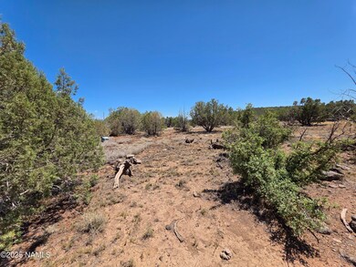 1804 N Frances Ln, Williams, AZ 86046 - photo 6