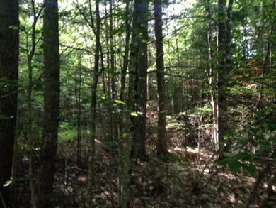 Land/lot