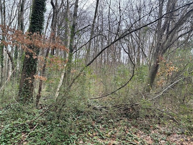 401 Woodhaven Dr, China Grove, NC 28023 - photo 2