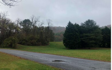 LT 44 Mountain Laurel Rd, Towns, GA 30546 - photo 2