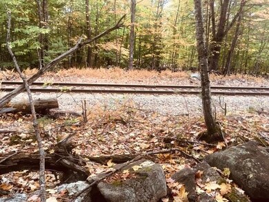 L7 Burley Park Dr, Wakefield, NH 03830 - photo 5