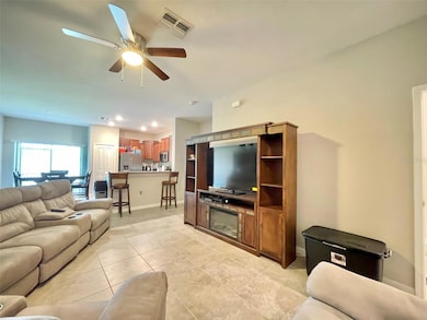 9767 Mulberry Marsh Ln, Ruskin, FL 33573 - photo 2