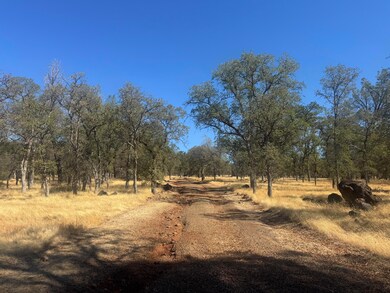 26612 Scharsch Rd, Shingletown, CA 96088 - photo 5