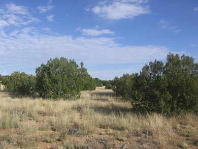 Joan 14 acres  Mulvhill 018