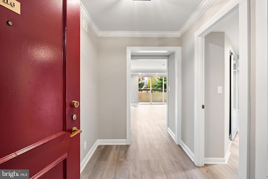 Porto Vecchio unit 116, Alexandria, VA 22314 - photo 2