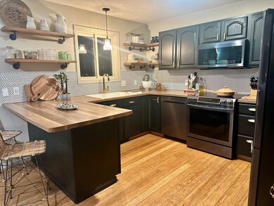 744 Lenmark Ln, Badger, MN 56714 - photo 2